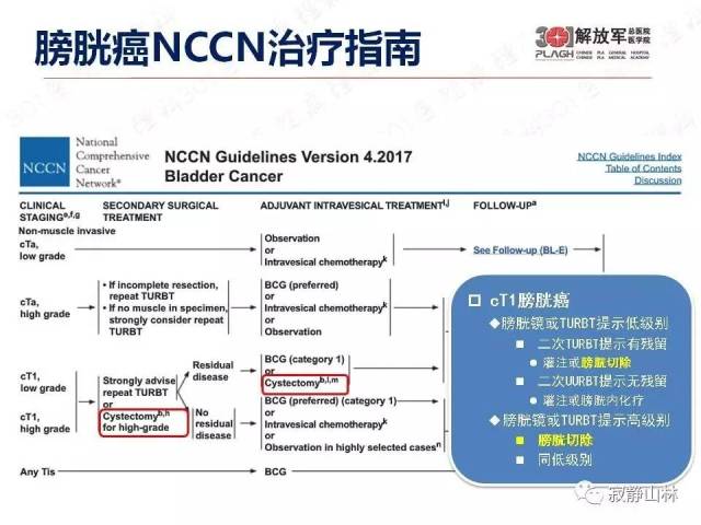 泌尿系统常见肿瘤标本病理报告规范