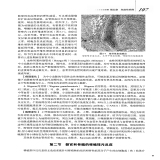 默认相册