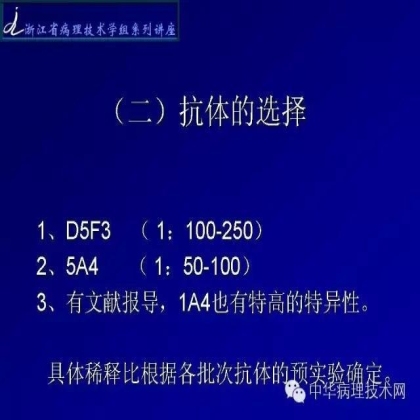 《常规免疫组化初筛ALK阳性非小细胞肺癌专家共识》技术部分解读