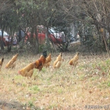 2012-12-10