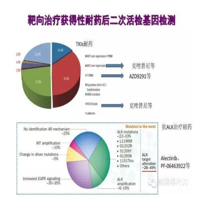 肿瘤精确医疗与分子病理检测