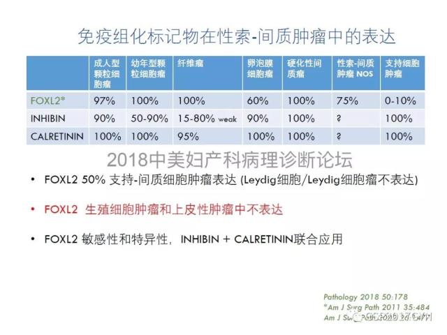 女性生殖道发育