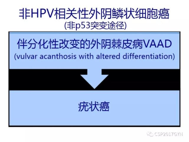 非HPV相关的外阴鳞状细胞肿瘤