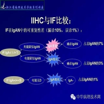 探讨免疫组织学在肾穿标本中的应用
