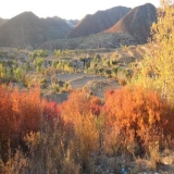 2011-10-08