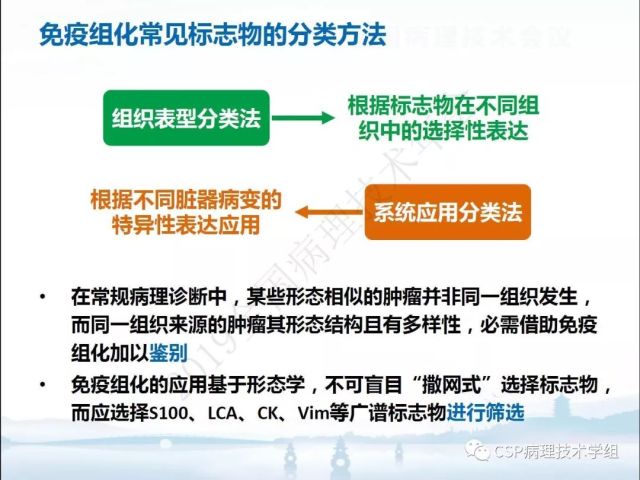 免疫组化检测的临床应用与质量评估
