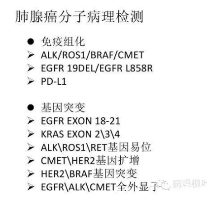 肿瘤精确医疗与分子病理检测