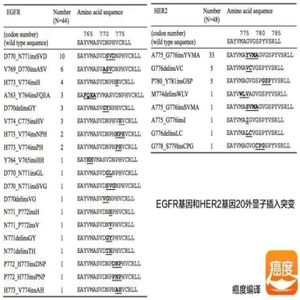 EGFR和HER2基因20外显子插入突变的用药问题