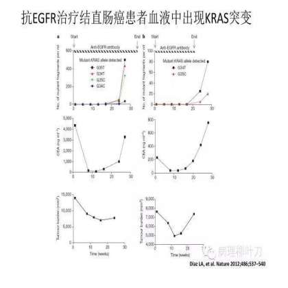 肿瘤精确医疗与分子病理检测