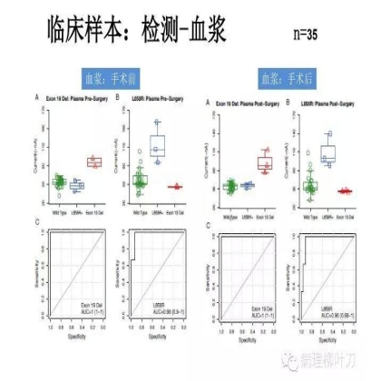 肿瘤精确医疗与分子病理检测