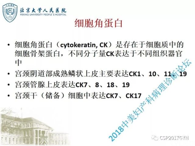 宫颈鳞状上皮内病变病理诊断中问题