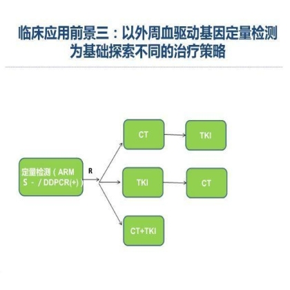 第13届中国肺癌高峰论坛