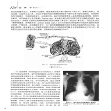 默认相册