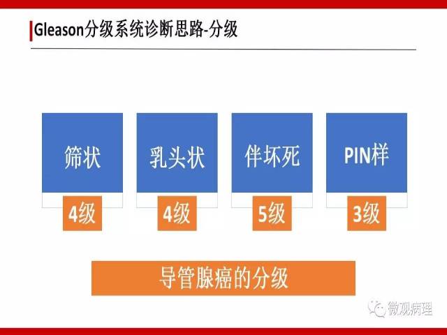 前列腺癌Gleason分级系统的前世今生