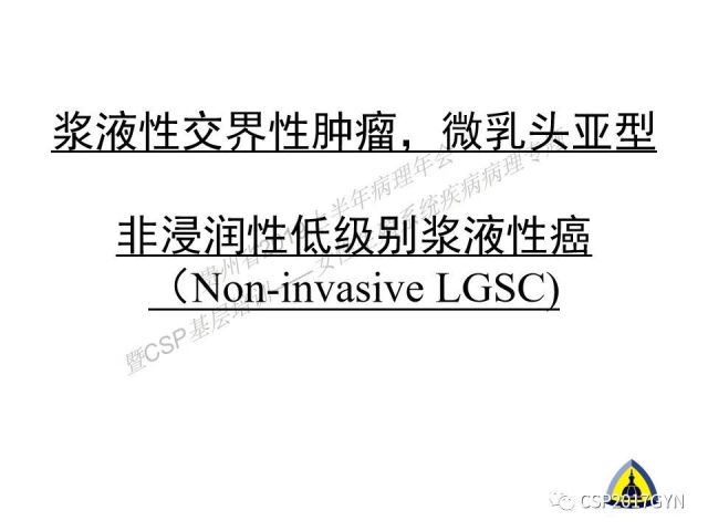 中华病理学会基层培训遵义站讲座（一）——卵巢和输卵管浆液性肿瘤的诊断和鉴别诊断