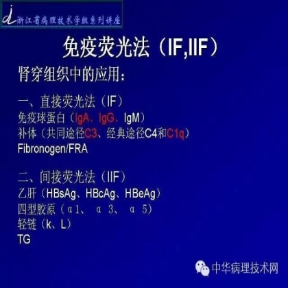 探讨免疫组织学在肾穿标本中的应用
