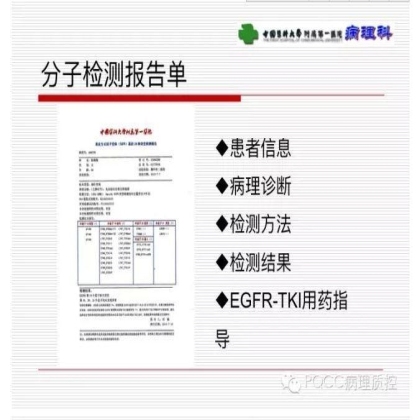 PQCC示范实验室展示——中国医科大学附属第一医院