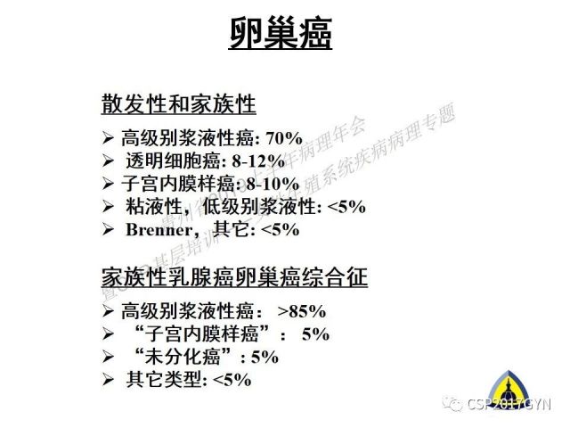 中华病理学会基层培训遵义站讲座（一）——卵巢和输卵管浆液性肿瘤的诊断和鉴别诊断