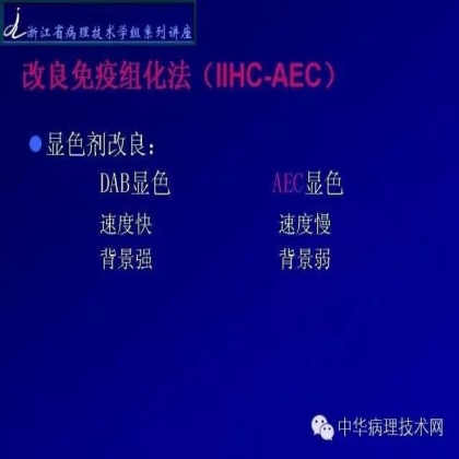 探讨免疫组织学在肾穿标本中的应用