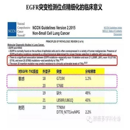 EGFR基因突变检测--基础篇