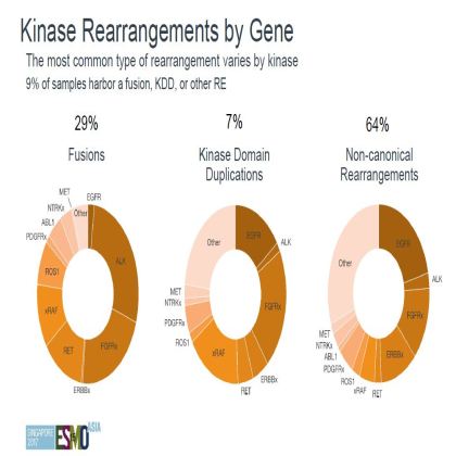 Genomic profiling of 114,200 advanced cancers identifies recurrent kinase domain duplications (KDD)