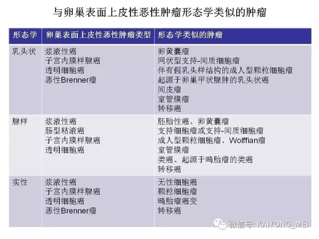 卵巢癌的病理诊断新进展（一）