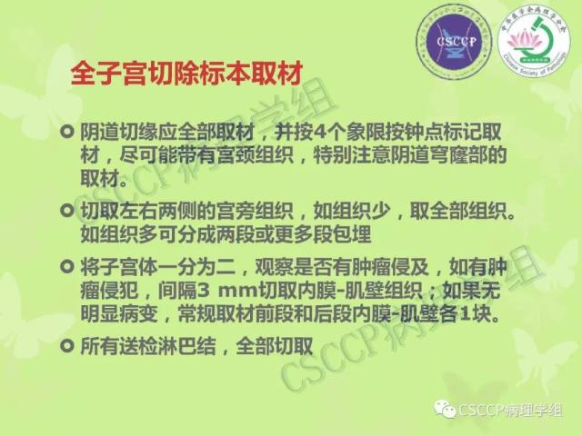 宫颈与子宫病变病理标本取材