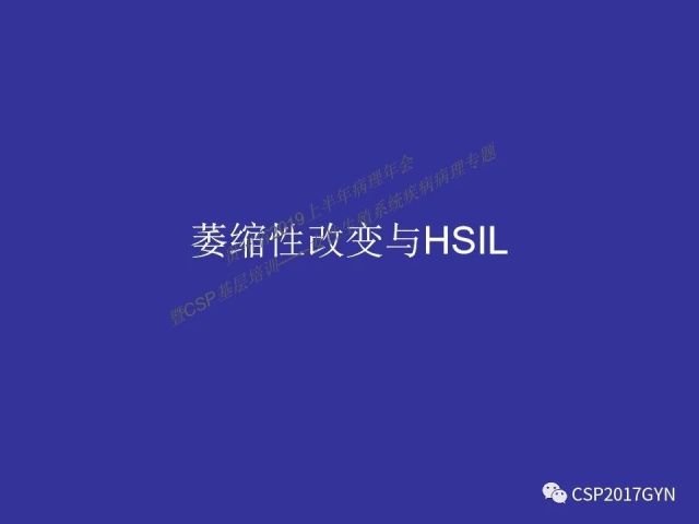 中华病理学会基层培训遵义站讲座（二）——宫颈细胞学诊断中陷阱与筛查进展
