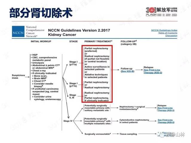 泌尿系统常见肿瘤标本病理报告规范