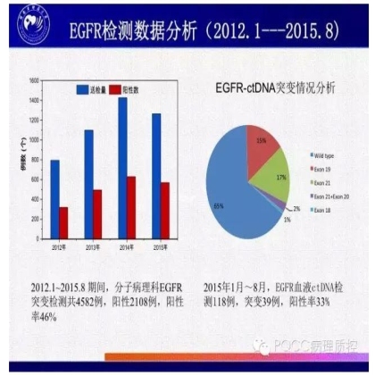 PQCC示范实验室展示——河南省肿瘤医院分子病理科