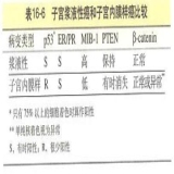 默认相册