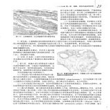 默认相册