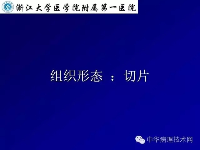 冰冻切片报告注意事项