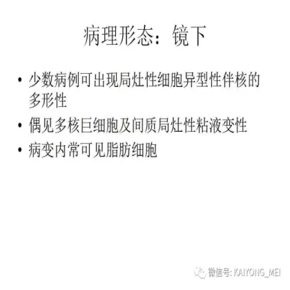 女性生殖道软组织肿瘤病理诊断及进展（二）