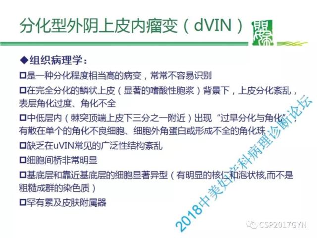 非HPV相关的外阴鳞状细胞肿瘤