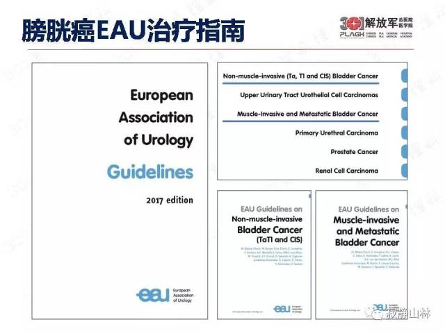 泌尿系统常见肿瘤标本病理报告规范