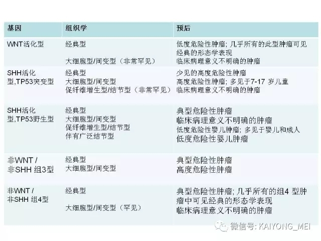2016 WHO中枢神经系统肿瘤分类解读（三）