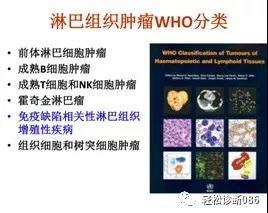 免疫缺陷相关性淋巴组织增殖性疾病（1）