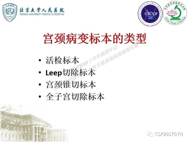 中华病理学会基层培训遵义站讲座（三）——宫颈鳞状上皮病变的病理诊断与鉴别诊断