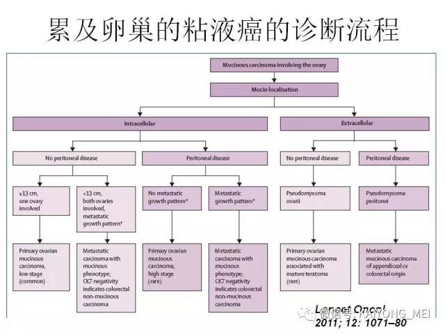卵巢癌的病理诊断新进展（四）
