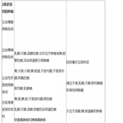肿瘤病理学分类大全