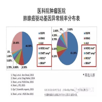 肿瘤精确医疗与分子病理检测