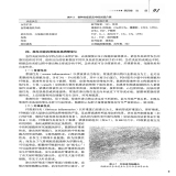 默认相册