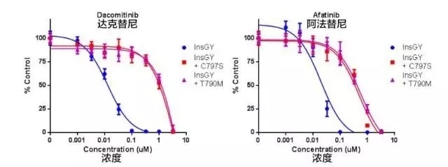 EGFR和HER2基因20外显子插入突变的用药问题