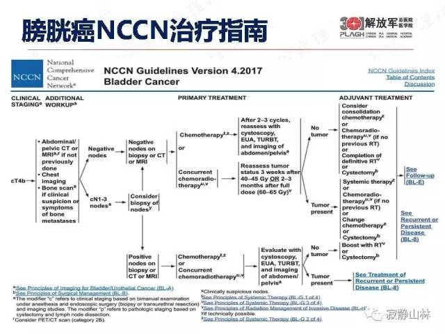 泌尿系统常见肿瘤标本病理报告规范