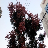 默认相册