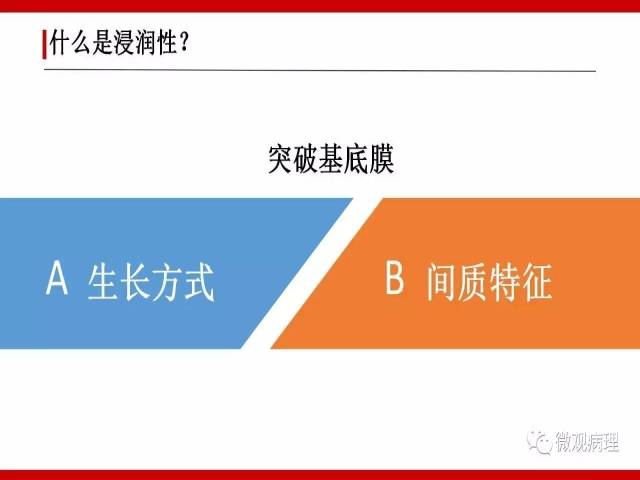 泌尿课程/浸润性尿路上皮癌病理学类型