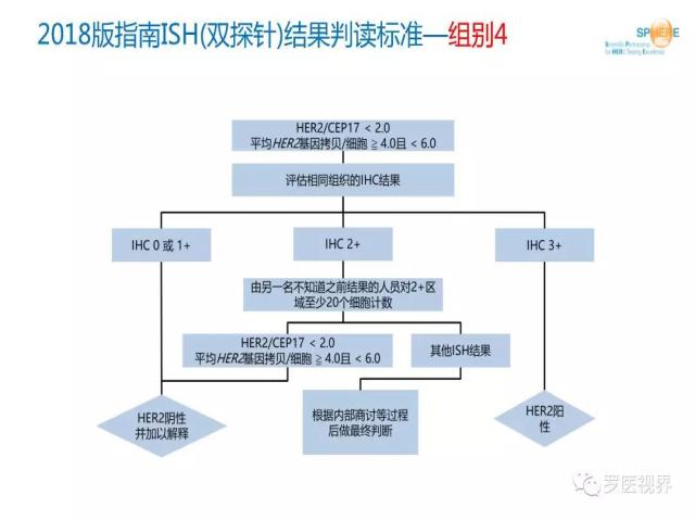 2018 ASCO/CAP乳腺癌HER2检测指南更新解读