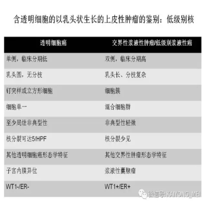卵巢癌的病理诊断新进展（三）