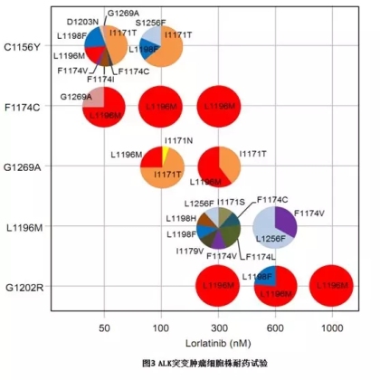 洛拉替尼的耐药机制